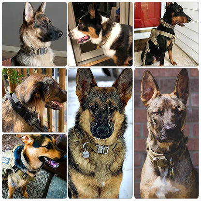 0RcvOKnOuoyJHqr.webp