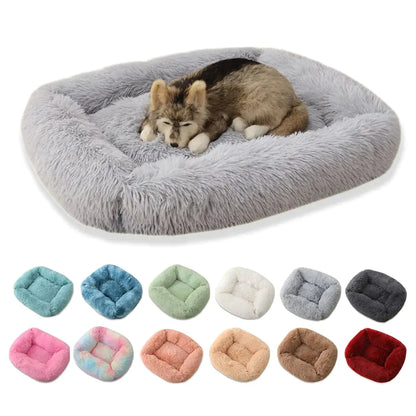 RukHB3LRVzBnruJ.webp